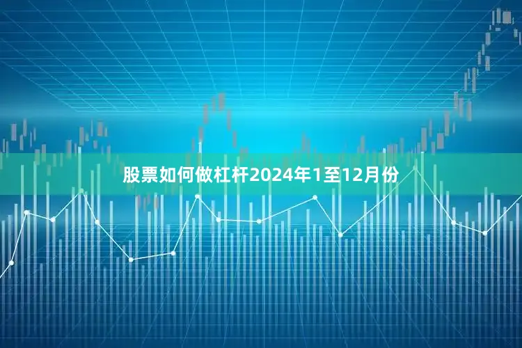 股票如何做杠杆　　2024年1至12月份