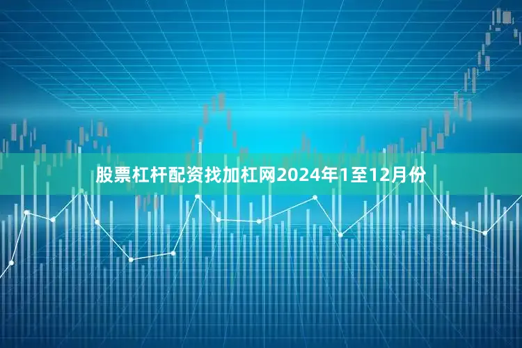 股票杠杆配资找加杠网　　2024年1至12月份