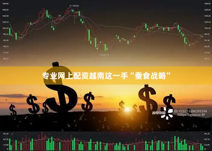 专业网上配资越南这一手“蚕食战略”