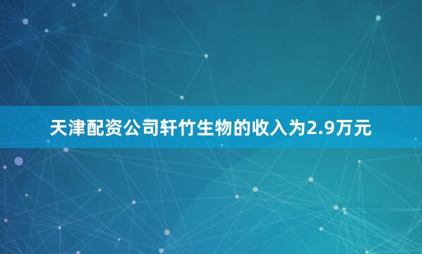 天津配资公司轩竹生物的收入为2.9万元